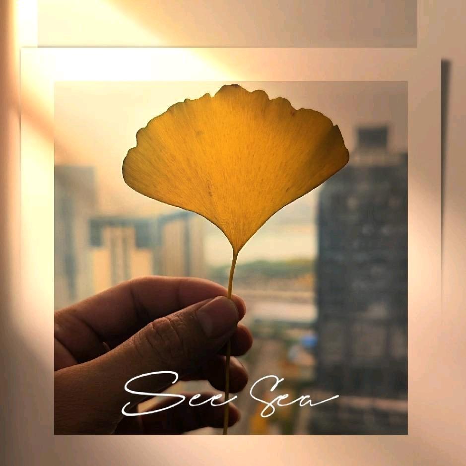 小E