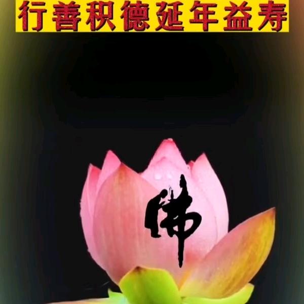 柏淋