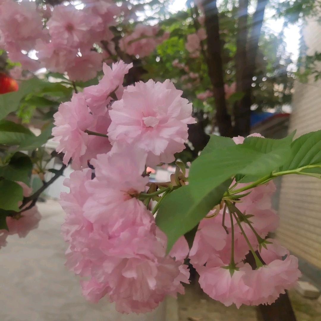 小幸运^O^