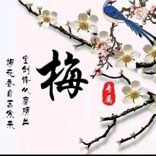 心随我愿
