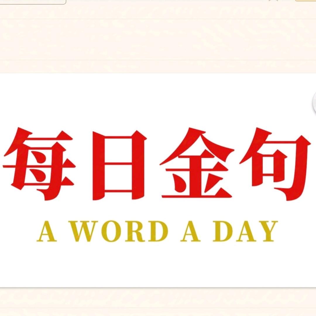 每日金句