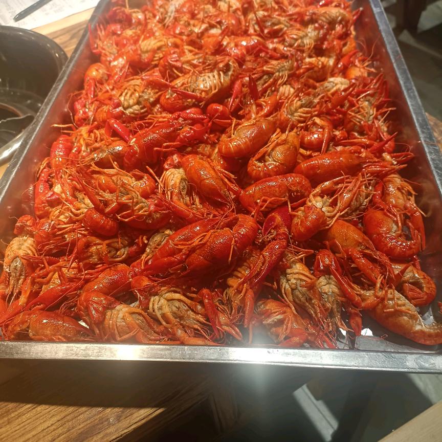 开开心心每一天