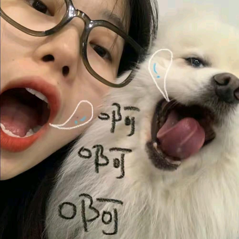 钟情领航员.