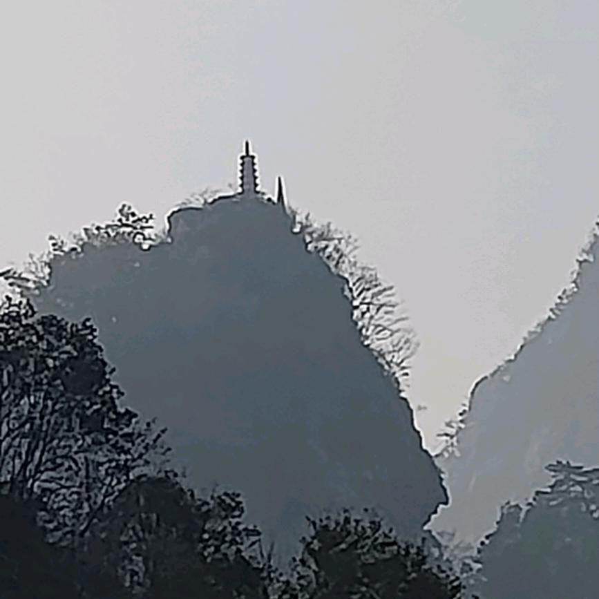 啊发哥