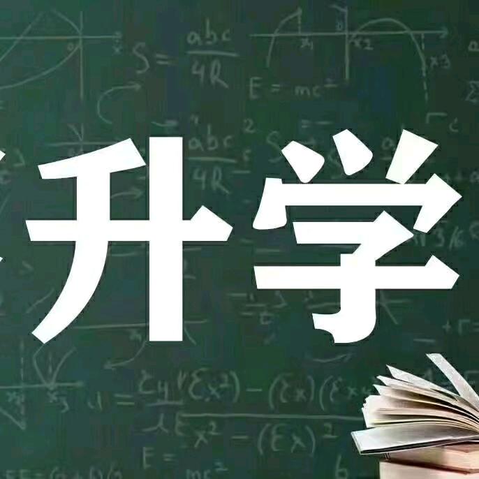 河南高报~李老师