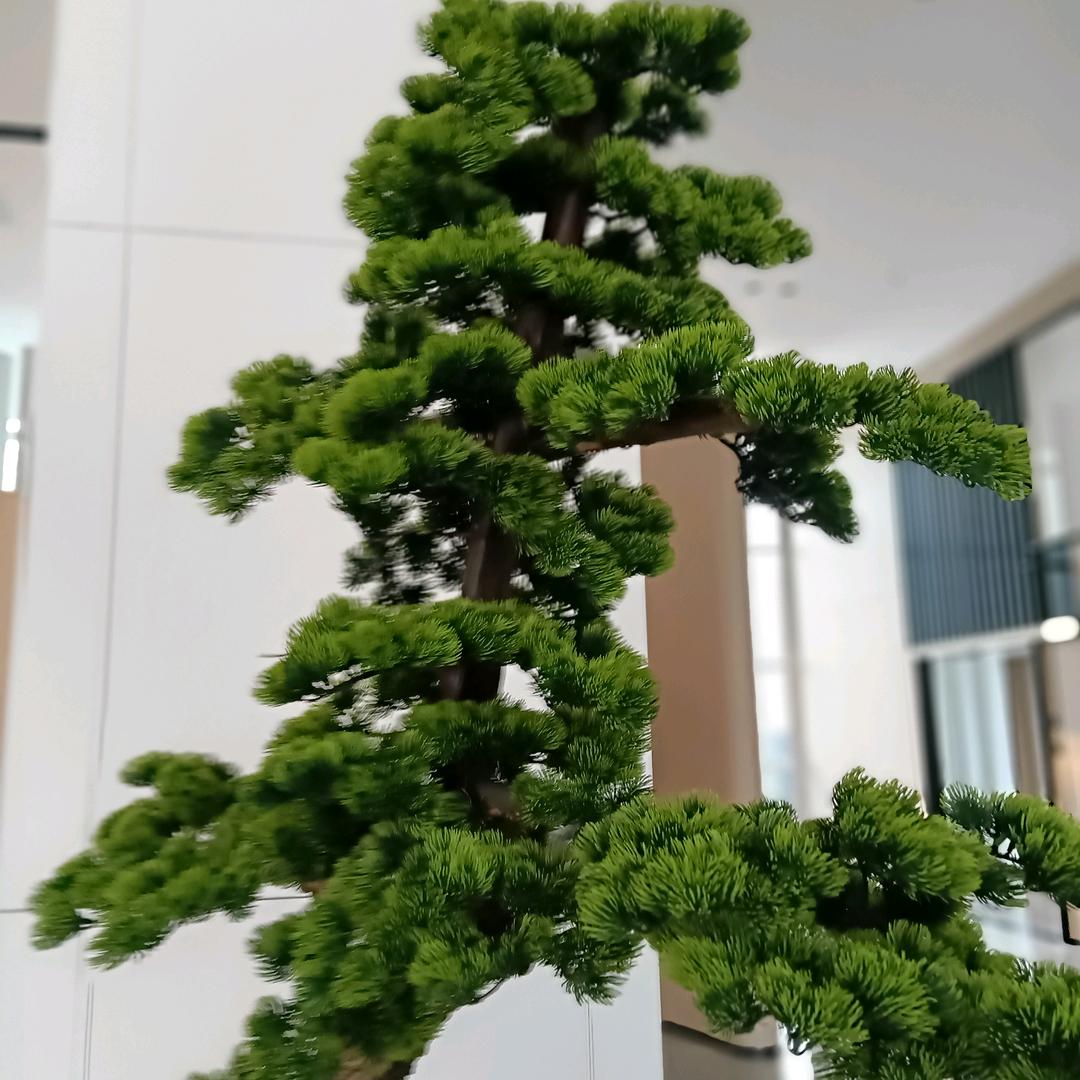 平常心