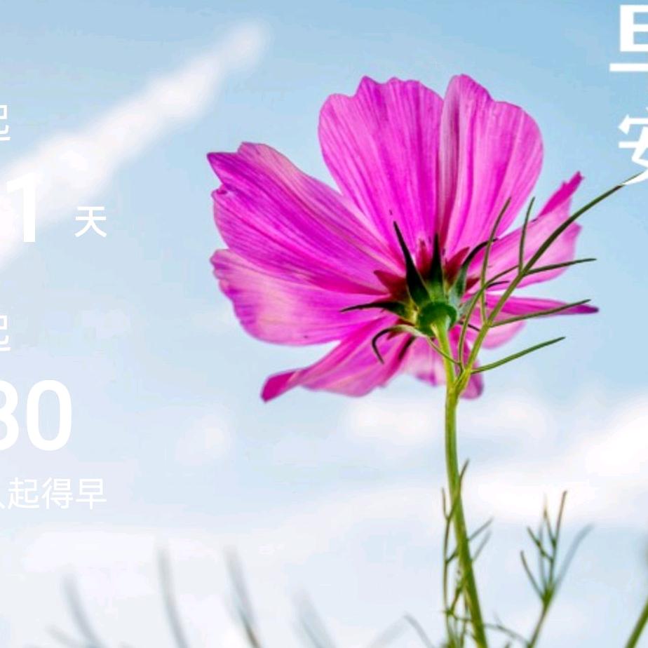 人生如烟
