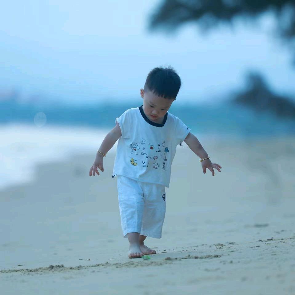 宸宸