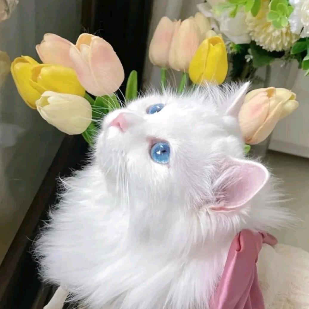 玖沐