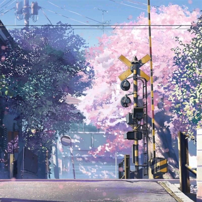辛晓晓