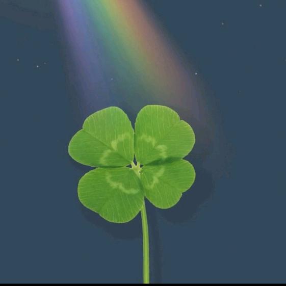 幸运 🍀