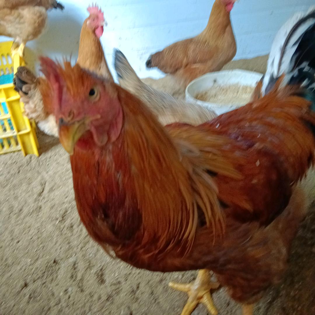 熬❤夜❤成❤影❤