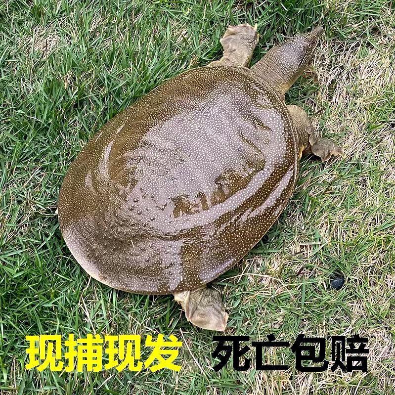好卖网