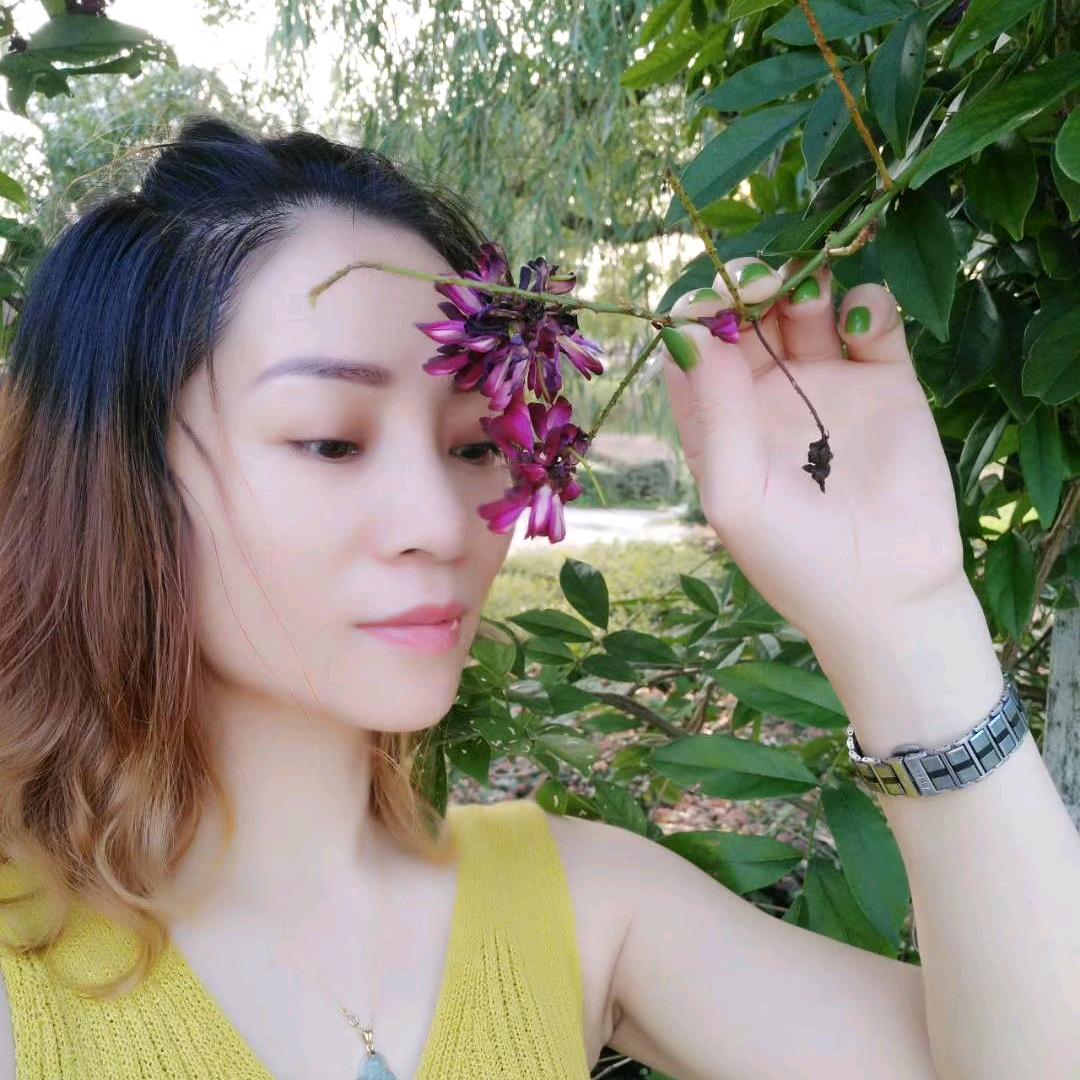 苏麦