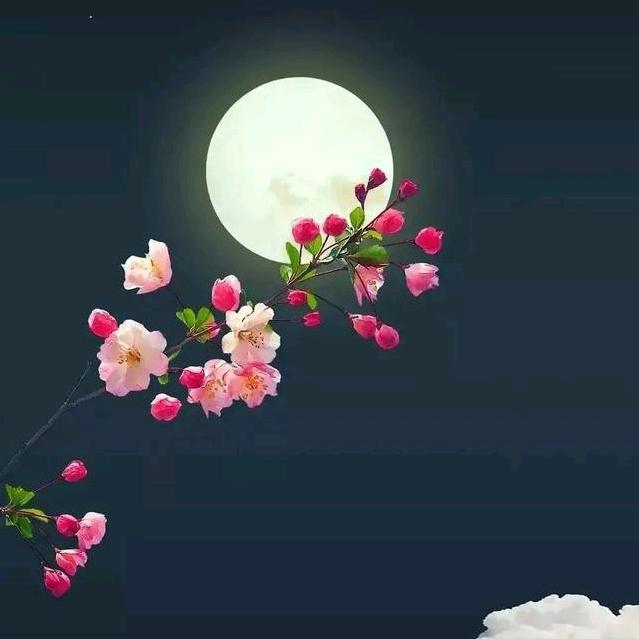 一壶浊酒