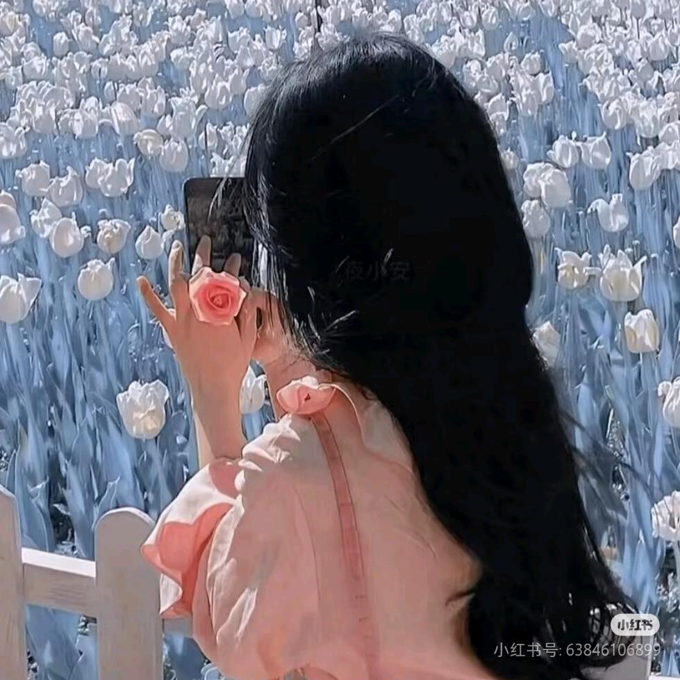 落日不眠