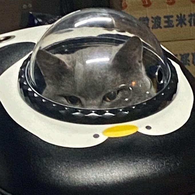六六_