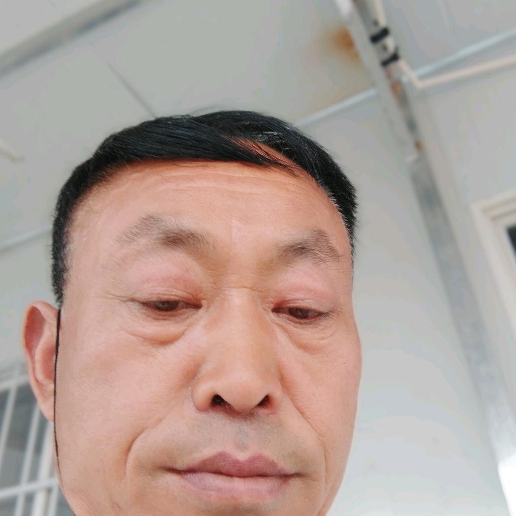 伐木工人he
