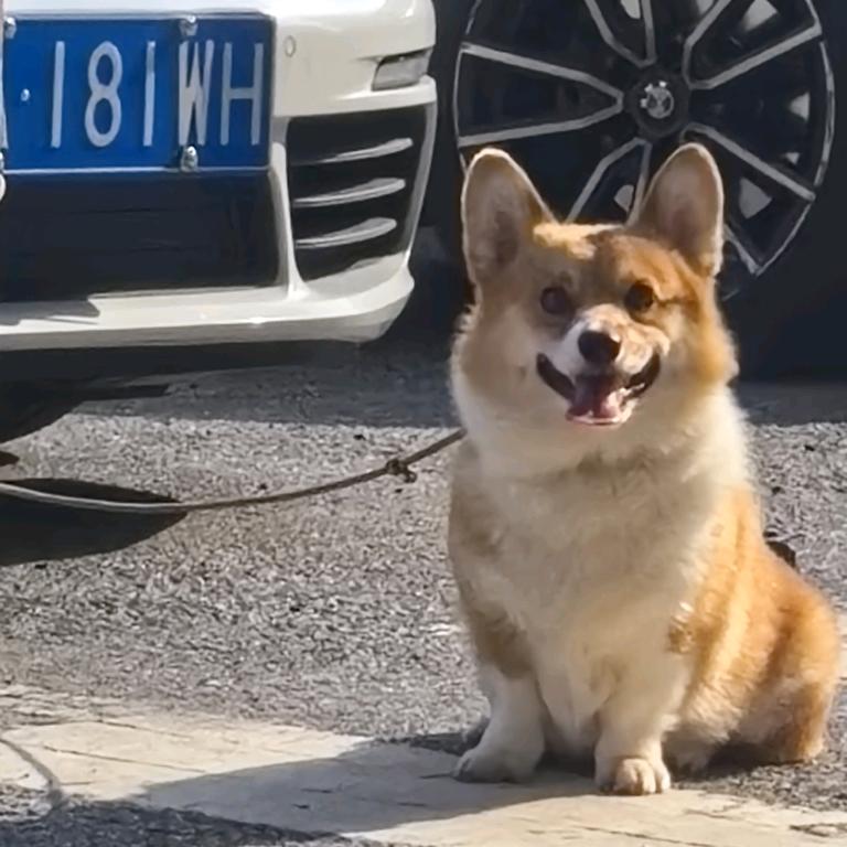 美味小饼干