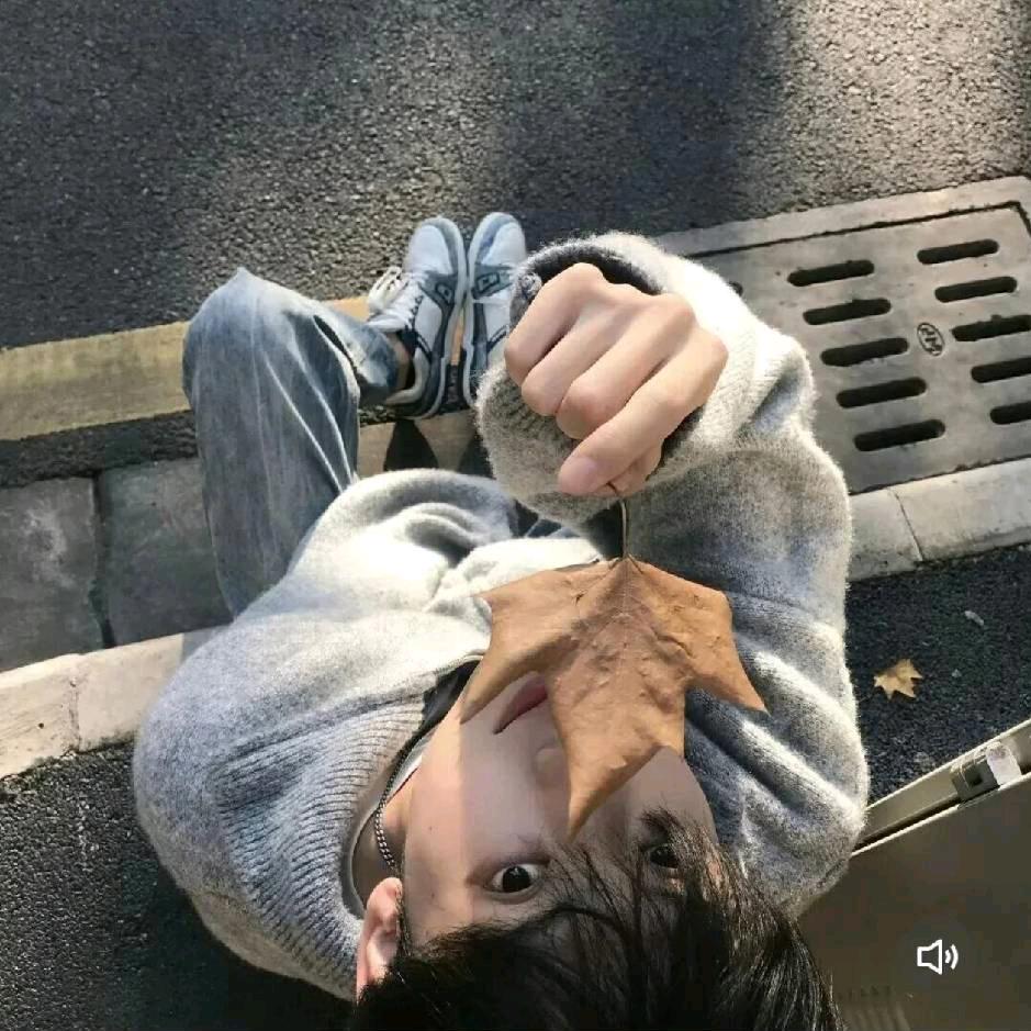 菠萝