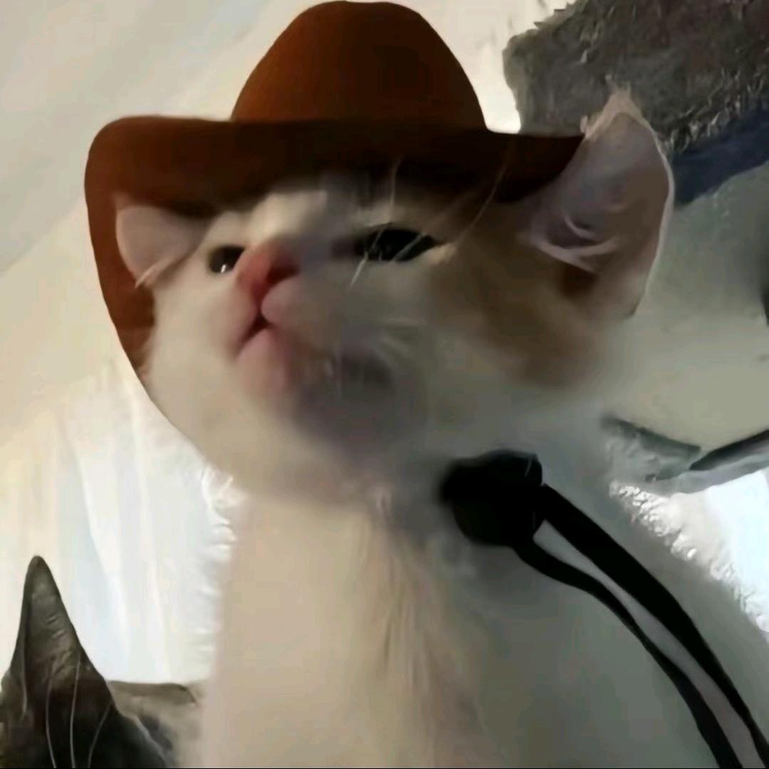 呵呵呵呵呵呵呵呵呵