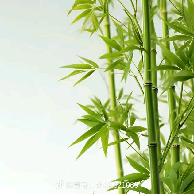 💖心🎊想💫是💐程🐀