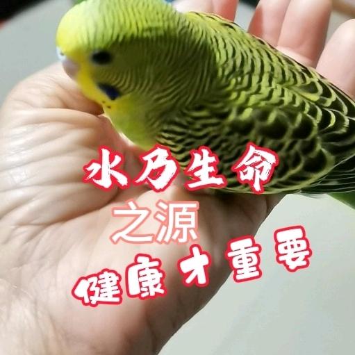 居家经络拍打……