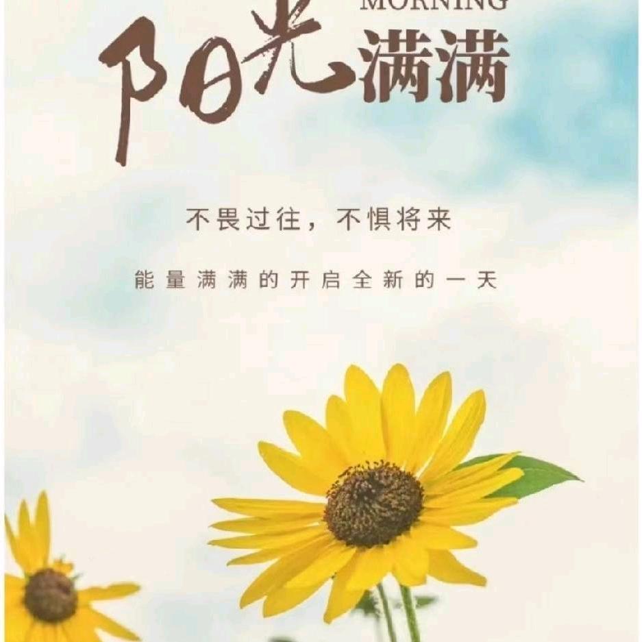 小平平