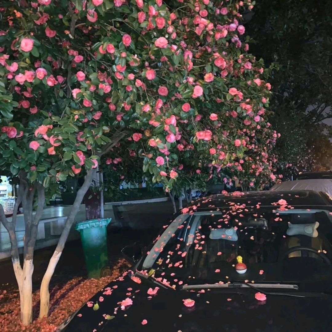 康 盛