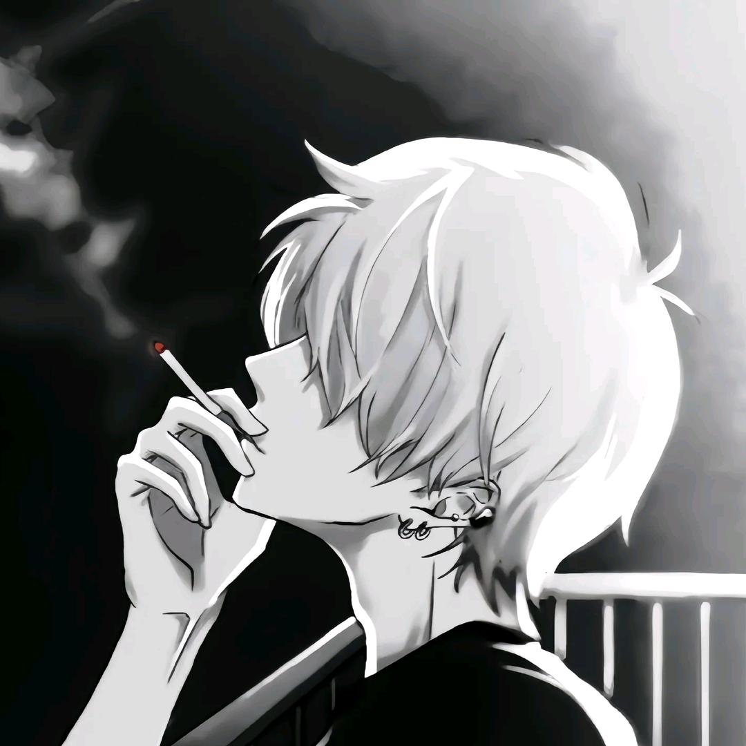 文文不菜