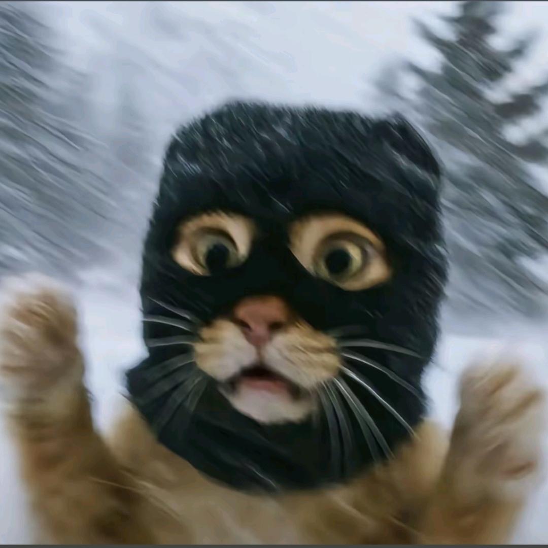 梦里暴雪转雷阵雨