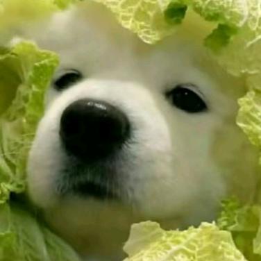 花样年华☘