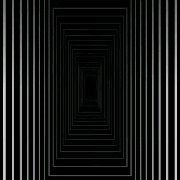 抖抖