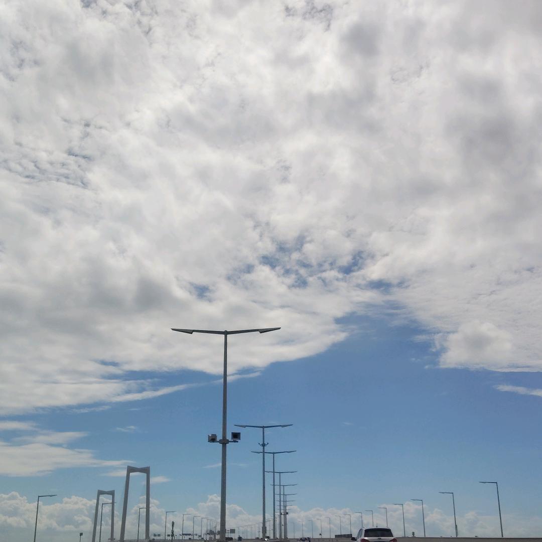 不焦绿，放青松