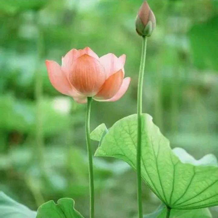 @好运