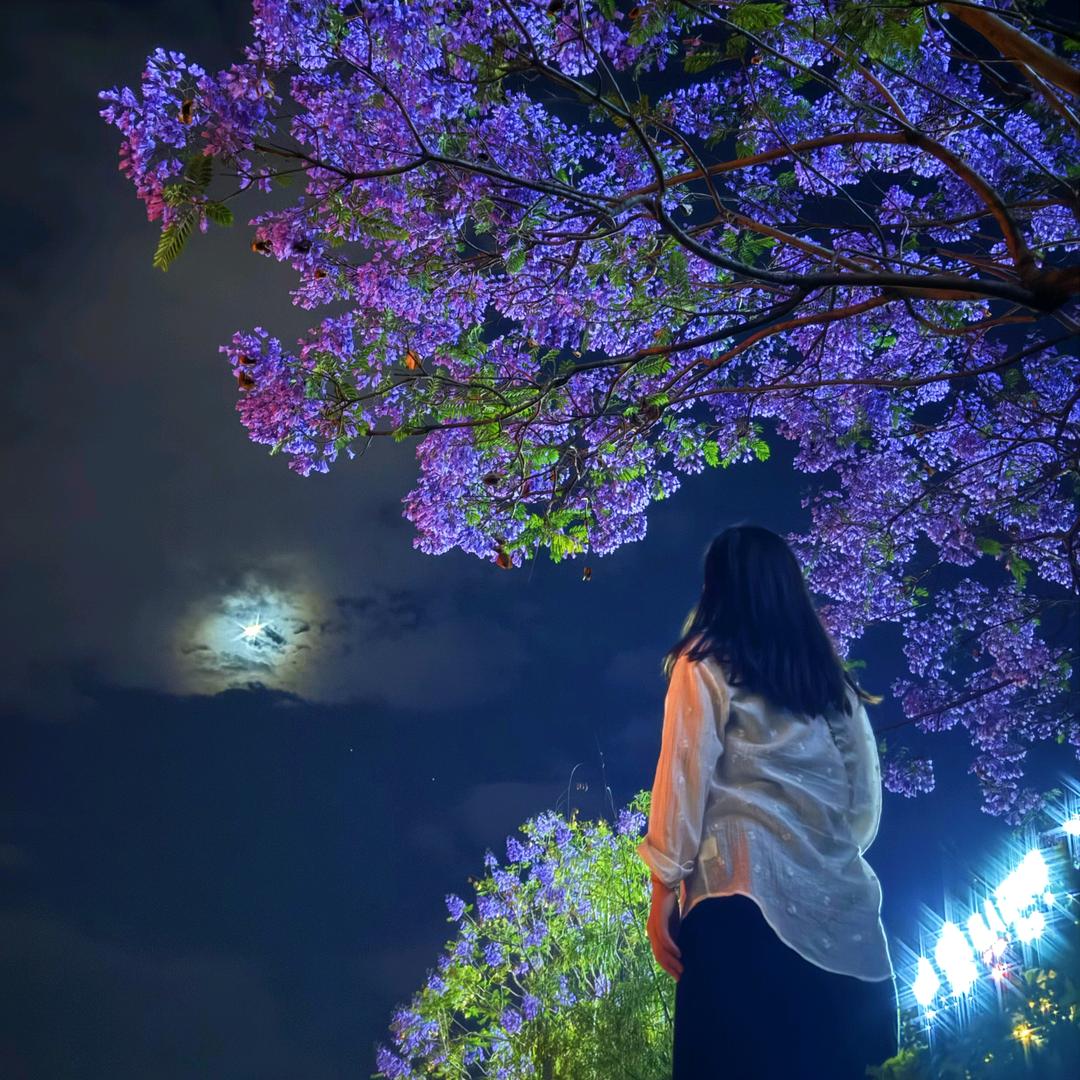 橙子妈妈爱下厨