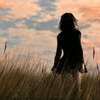 风信子🧚‍♀️