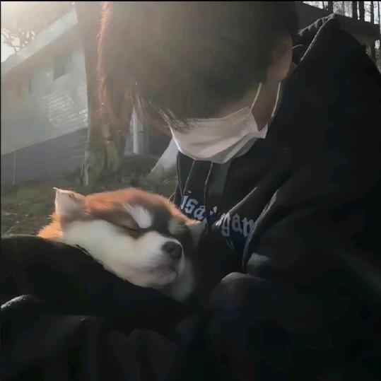 昊