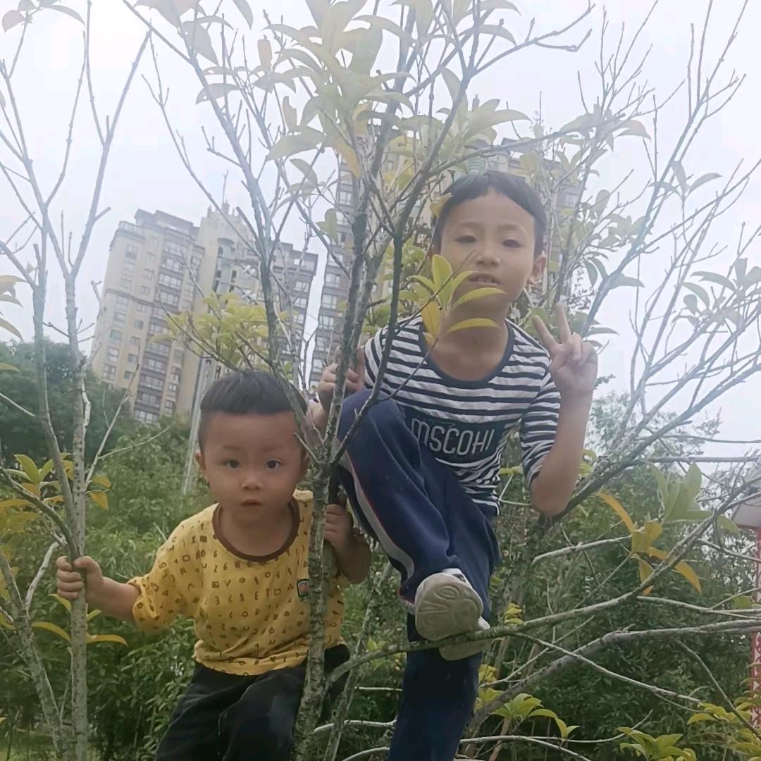 一切都会好起来的