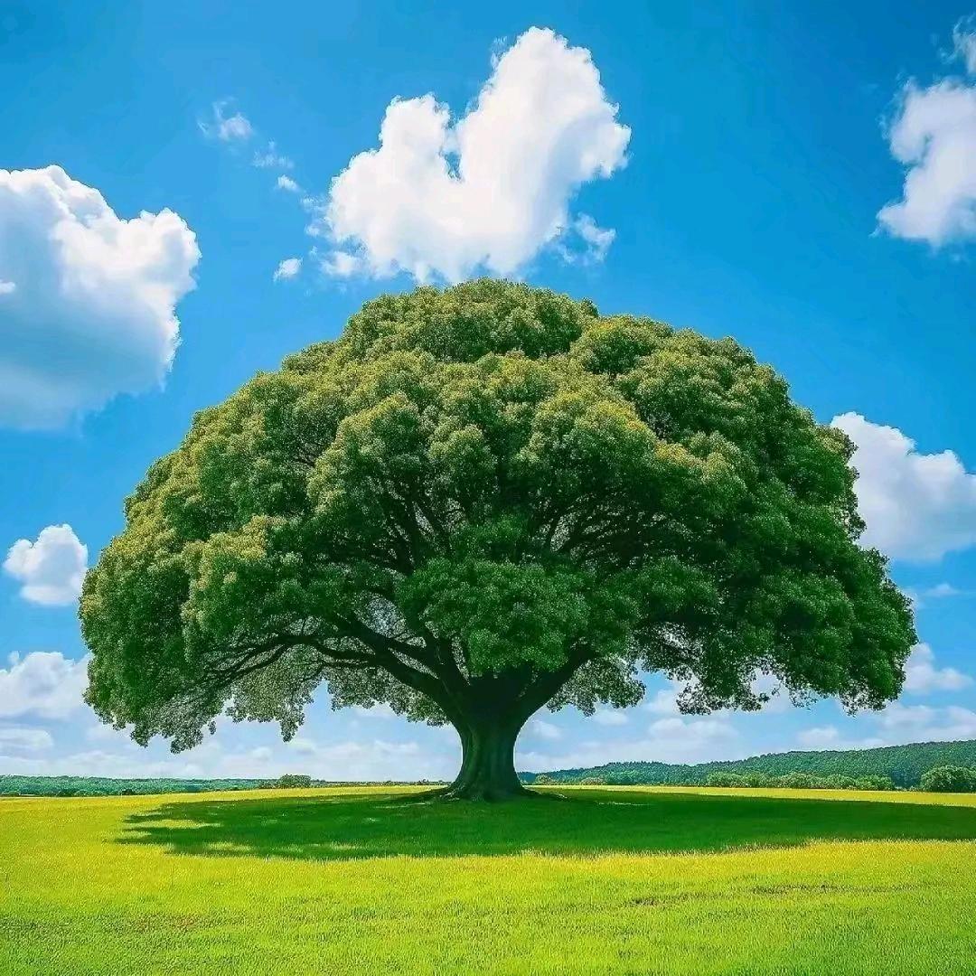 菏泽瑞洁生物科技