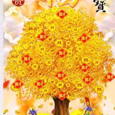 明天会更好🌺
