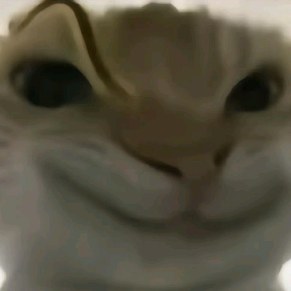 lemonSea