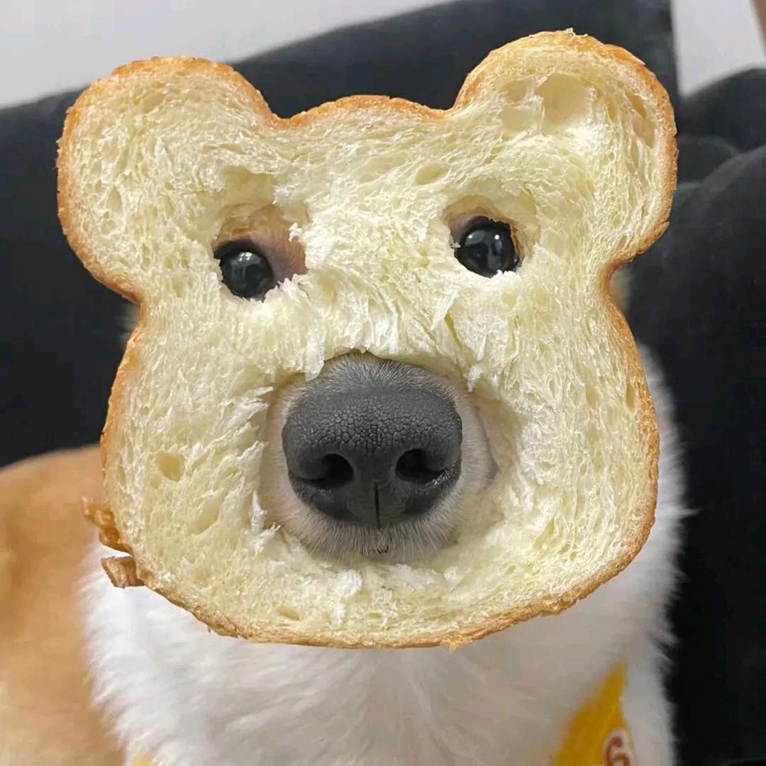 出征凌然