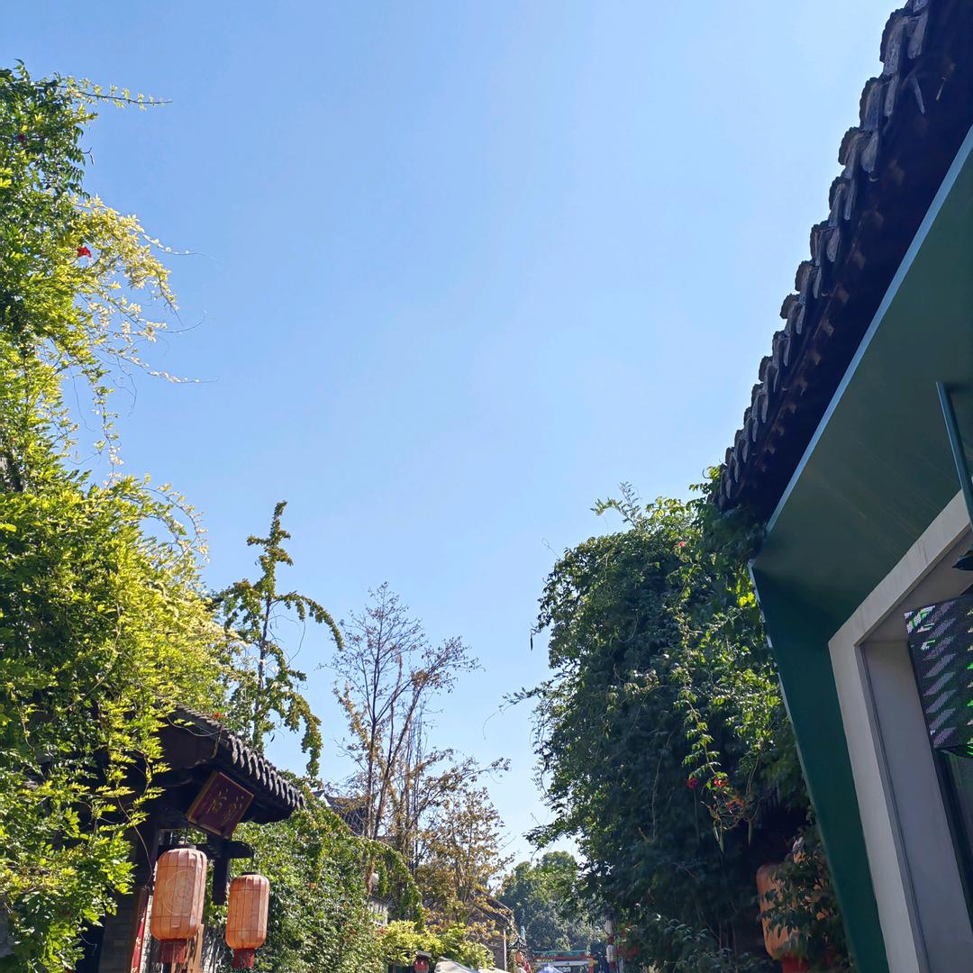 柠檬树私房烘焙🌈
