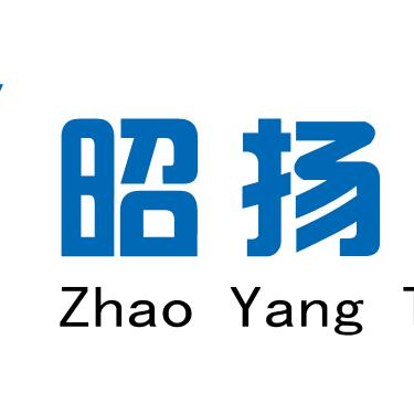 广西昭扬科技有限公司