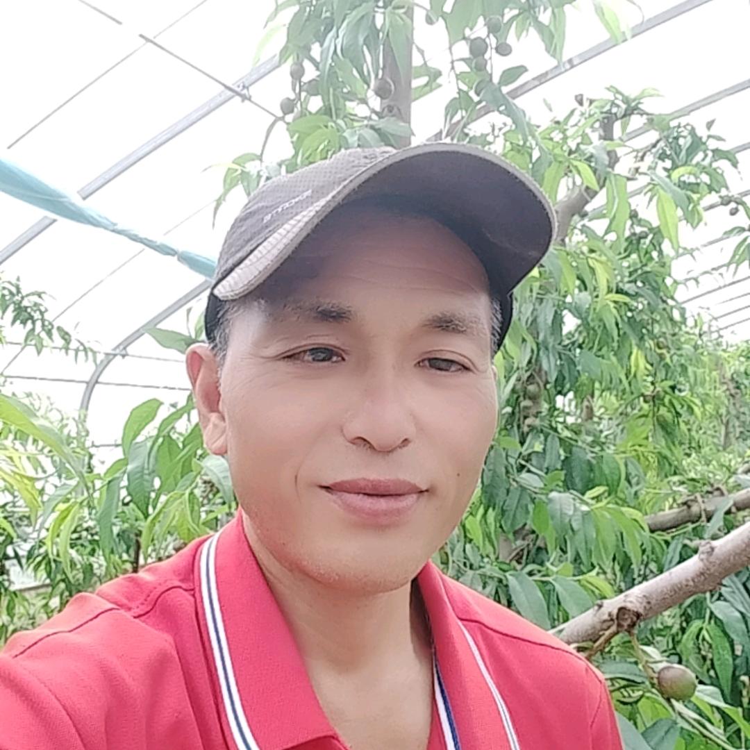 毛线哥（晚20点50分首播）