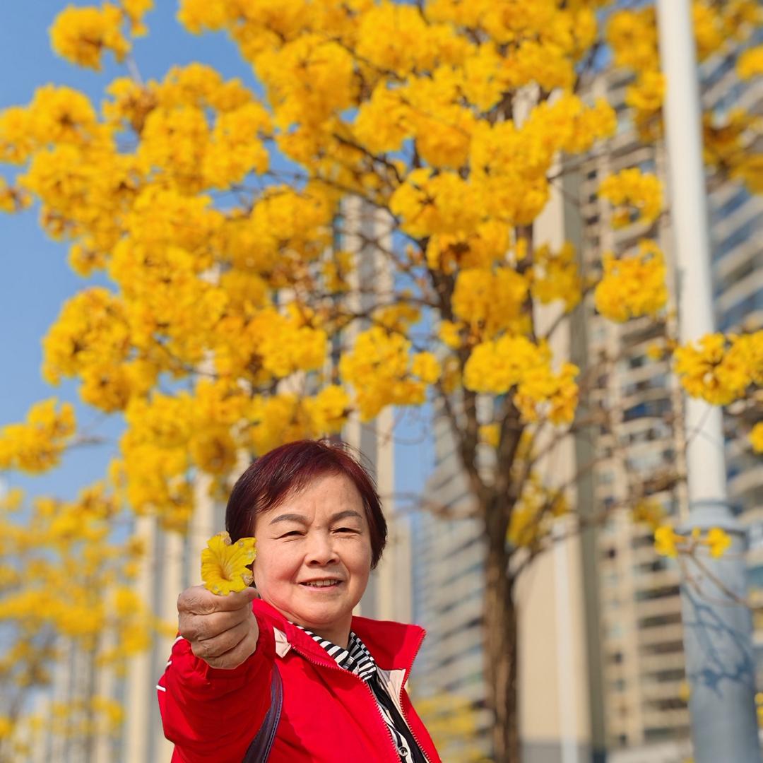 秀姐：青春不老松