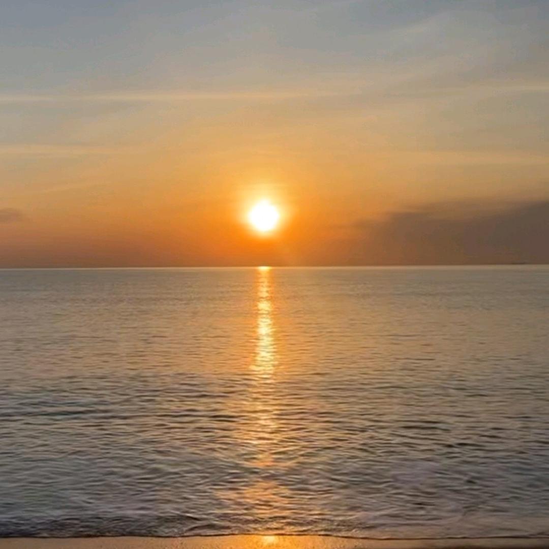 红                 ༽