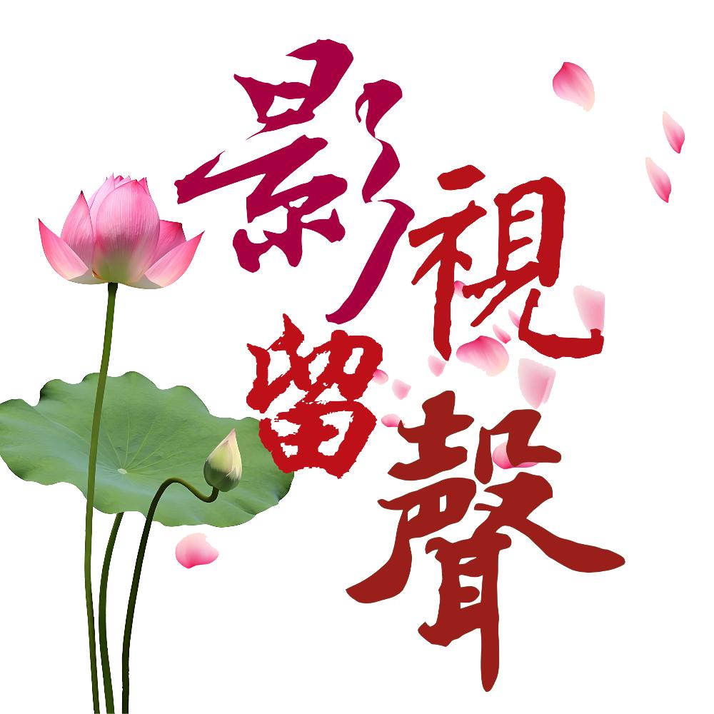 影视留声