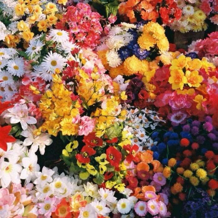 《繁花不败》